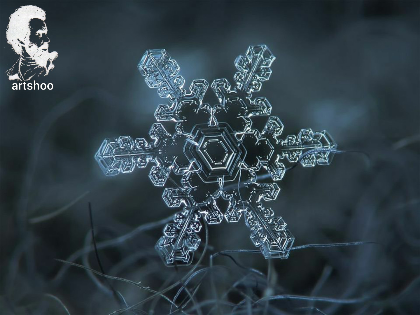 سیاه قلم مدل مداد سفید